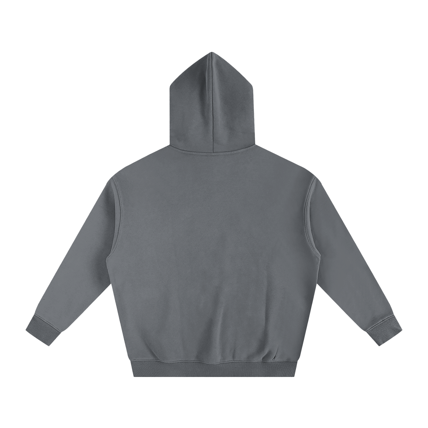 Appointed and Anointed - Oversize Fleeced Hoodie